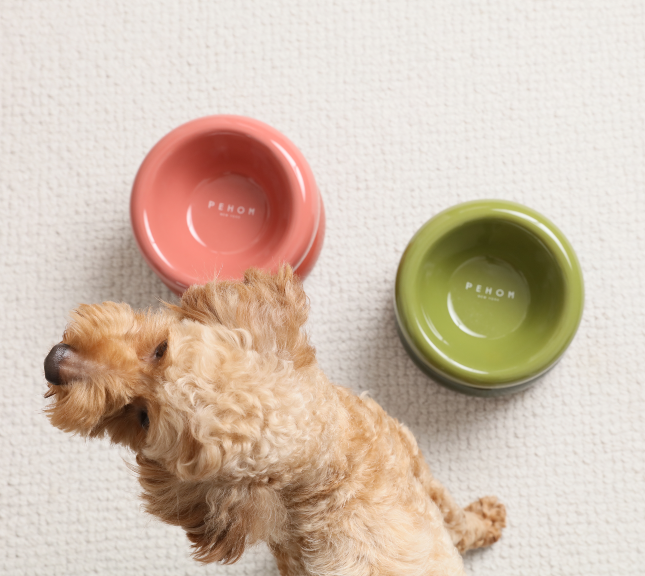 Ergonomic Pet Bowl – Multiple Colors (Anti-Slip, Easy-Clean)