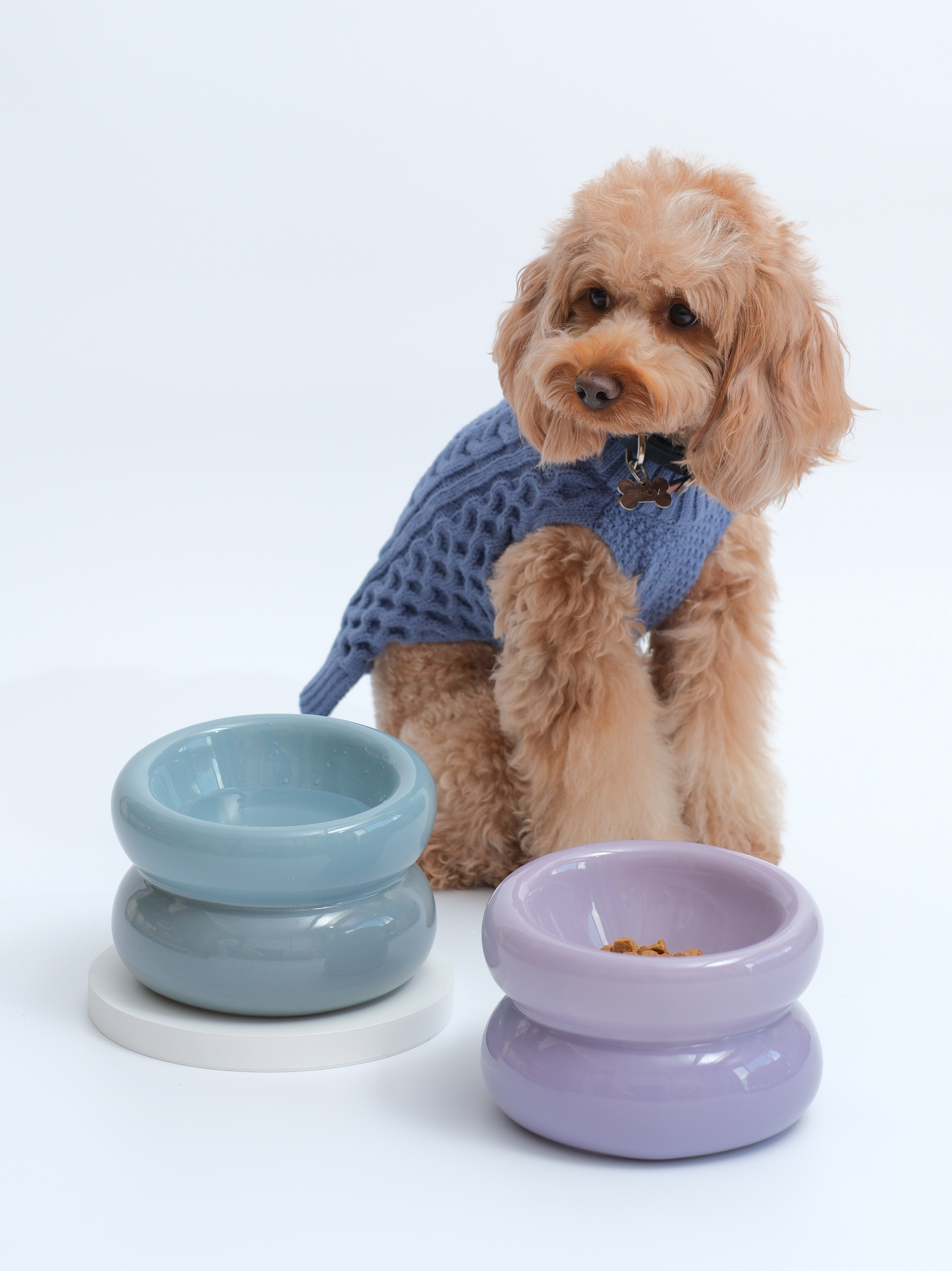 Ergonomic Pet Bowl – Frozen Blue (Anti-Slip, Easy-Clean)