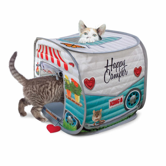 How to Travel Safely with Your Pet
