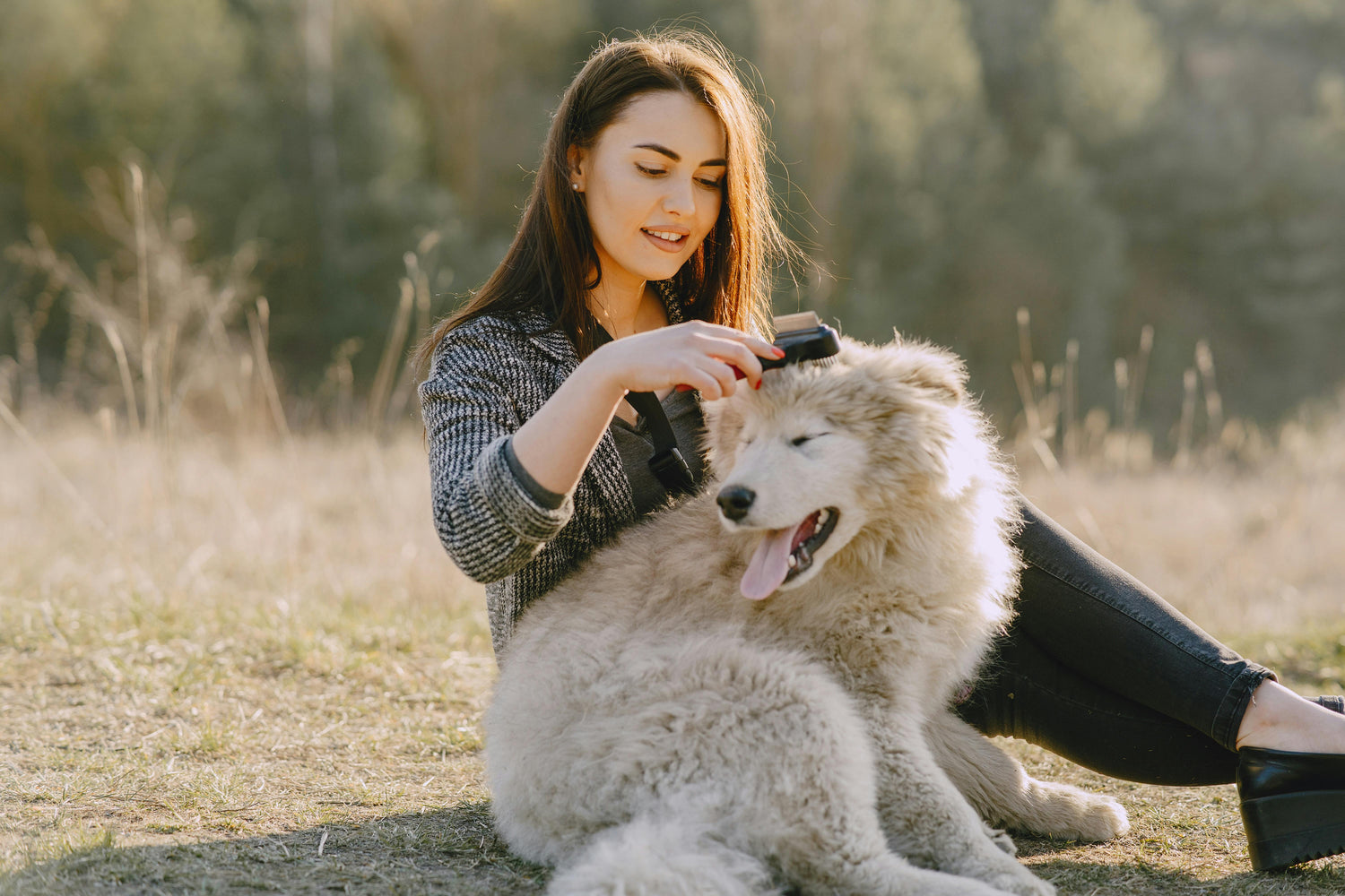 Dog Grooming & Care | Brushes, Clippers & More – Mario’s Choice
