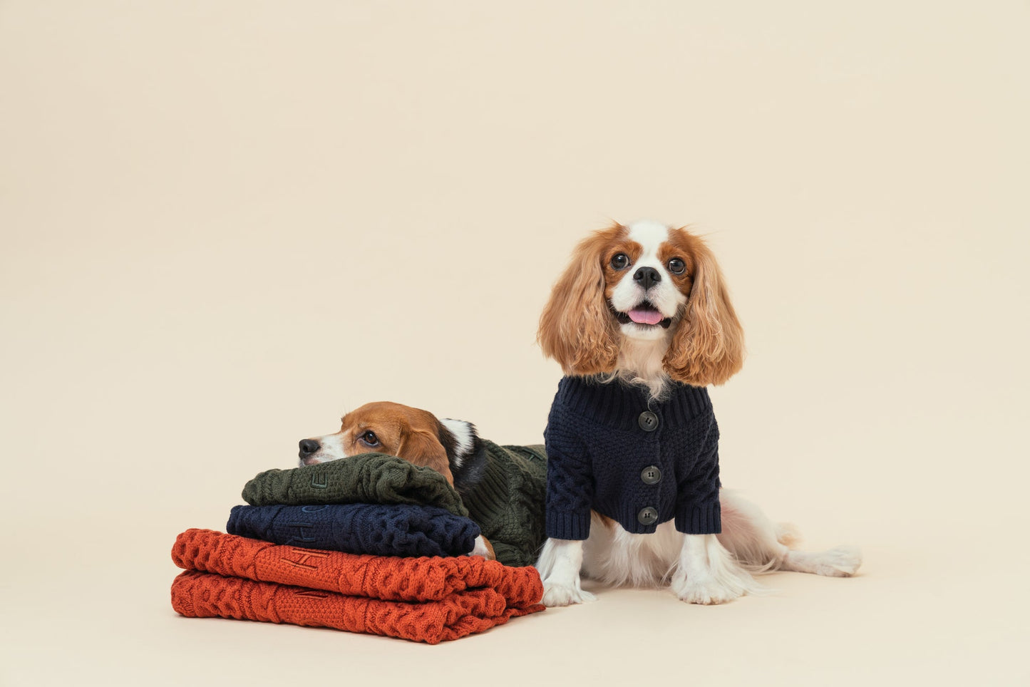 Bert Cardigan Dog Sweater – Cozy Knit Pet Sweater in Multiple Colors (XXS–XL)