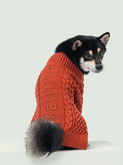 Bert Cardigan Dog Sweater – Cozy Knit Pet Sweater in Multiple Colors (XXS–XL)