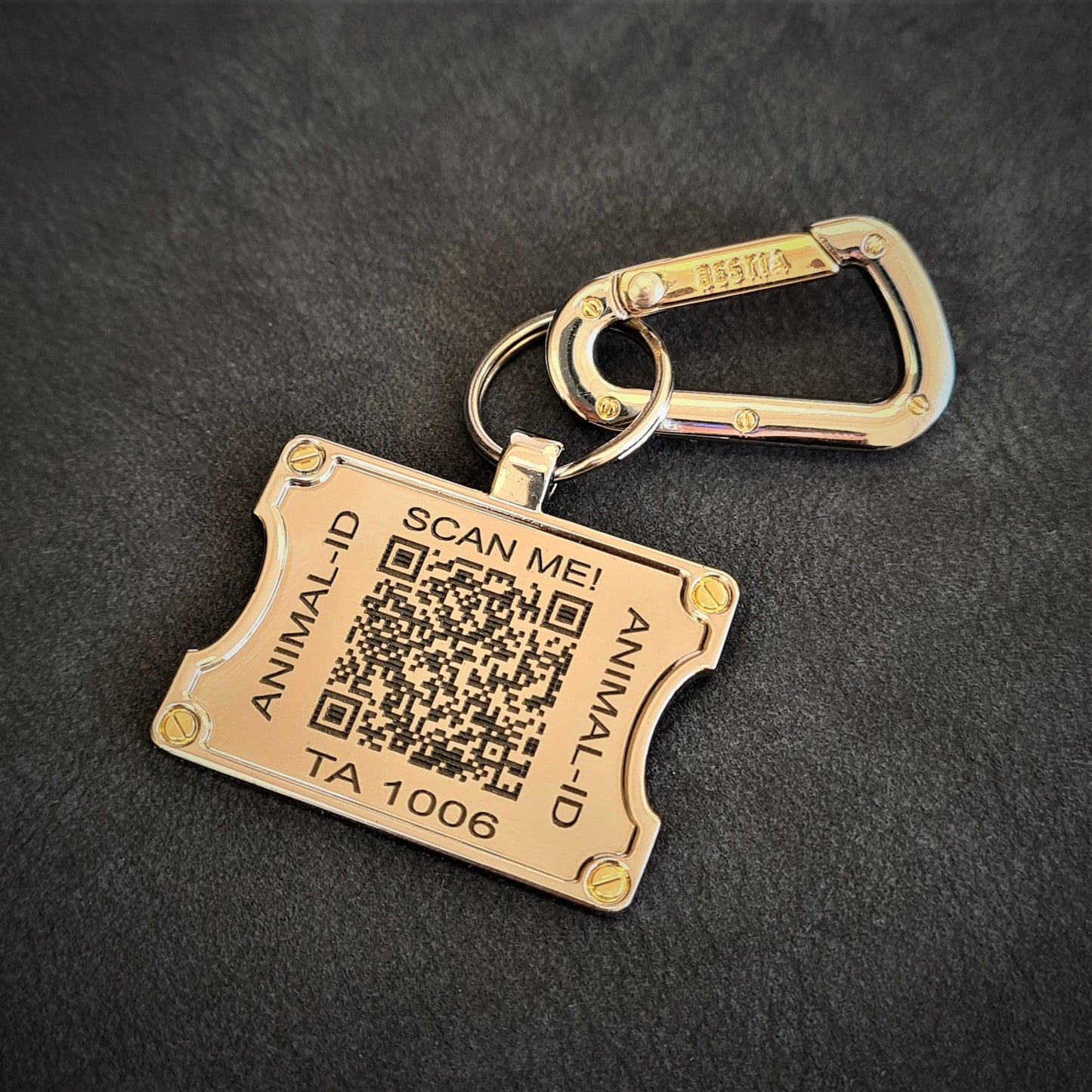 Smart QR Pet ID Tag – Stainless Steel
