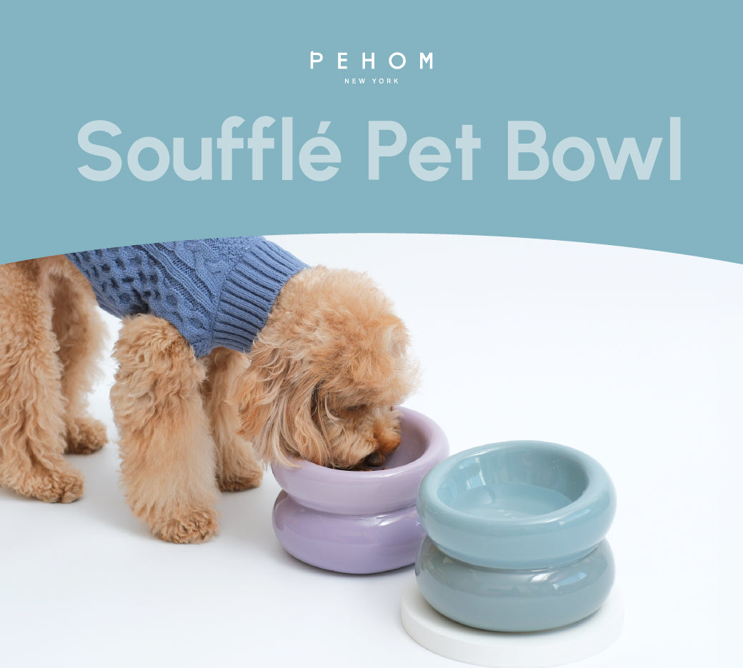 Ergonomic Pet Bowl – Frozen Blue (Anti-Slip, Easy-Clean)