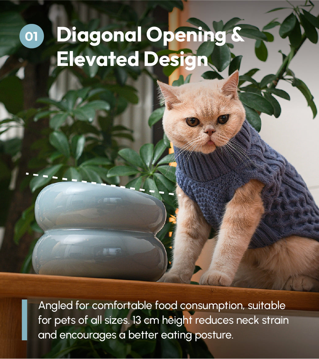 Cat wearing a blue sweater sitting next to a white ceramic bowl with greenery in the background