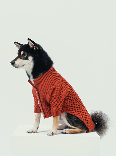 Bert Cardigan Dog Sweater – Cozy Knit Pet Sweater in Multiple Colors (XXS–XL)