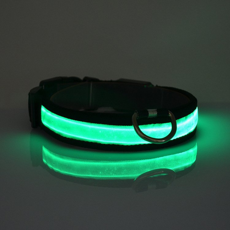 LED Light Up Dog Collar – Night Safety Rechargeable Pet Collar (Multiple Colors & Sizes)
