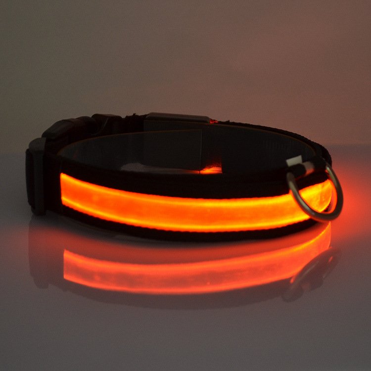 LED Light Up Dog Collar – Night Safety Rechargeable Pet Collar (Multiple Colors & Sizes)