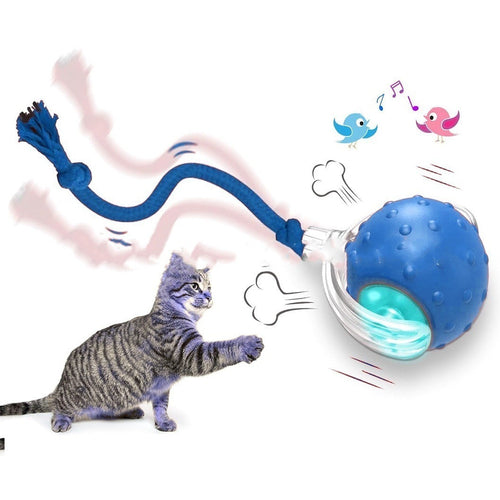 Interactive Cat Toy Ball – Smart Self-Rolling LED Teaser Ball with Tail & Rope Options