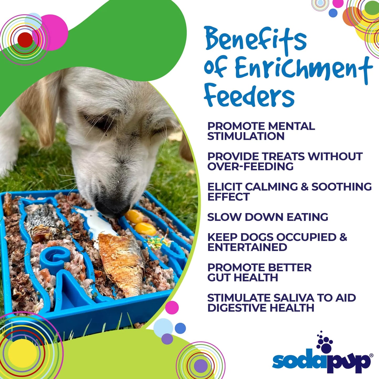 Waiting Dogs eTray - Shallow Slow Feeder Bowl for Enrichment