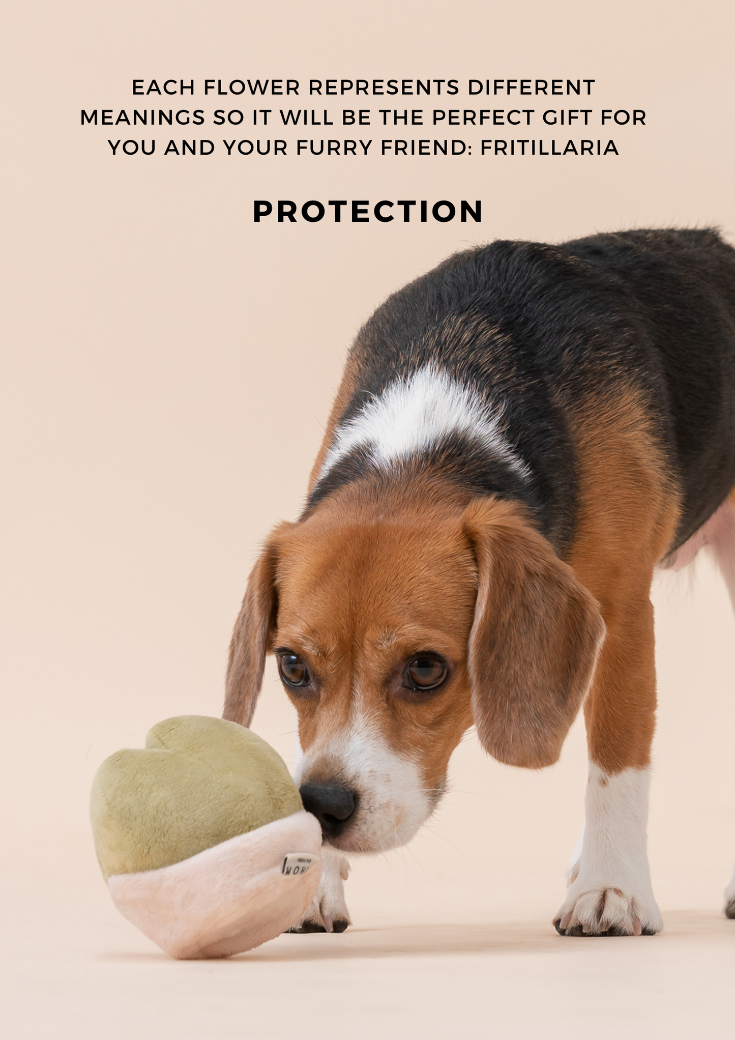 Interactive Plush Pet Toy – Squeaker & Hidden Treat Pocket