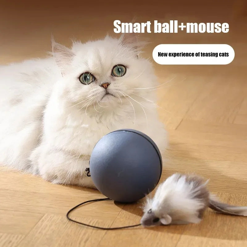 Cat playing with a smart ball and mouse toy on a wooden floor
