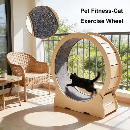Indoor Cat Exercise Wheel with Detachable Carpet – Natural Wood