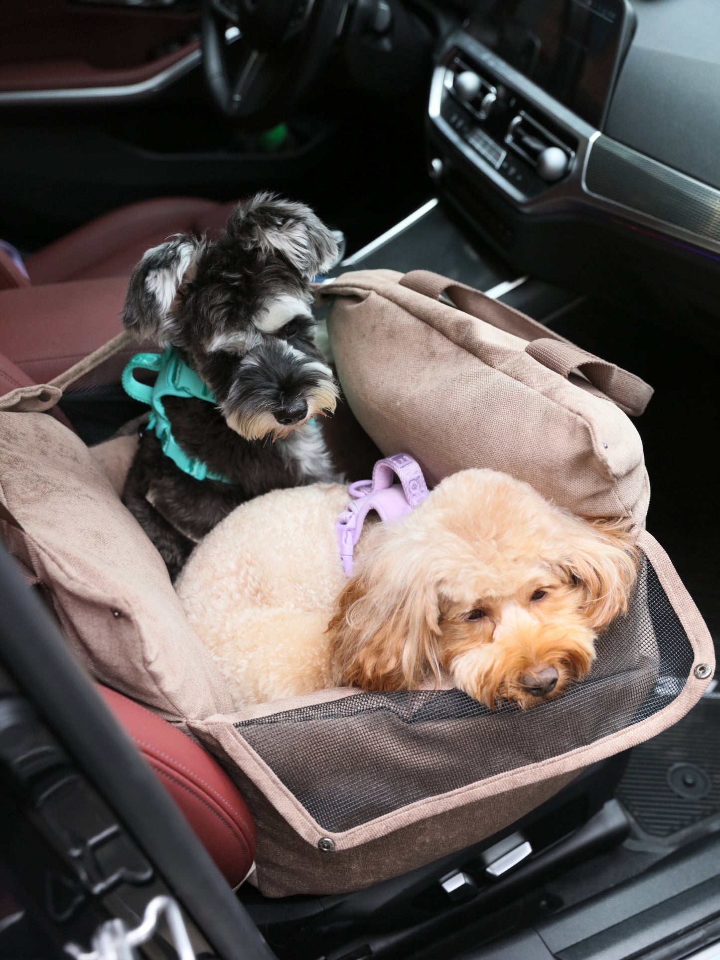 Puff Guard Dog Car Seat – Camel (Up to 18 lbs)