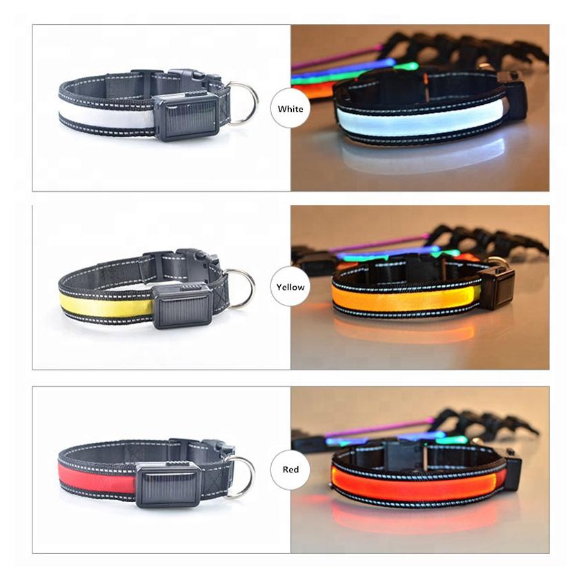 USB & Solar Rechargeable LED Dog Collar – Reflective, Waterproof, Night Safety