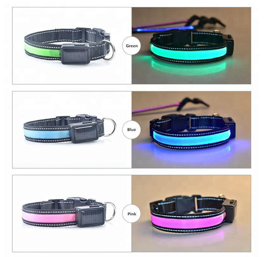 Dog collars in green, blue, and pink with reflective stripes on a white background.