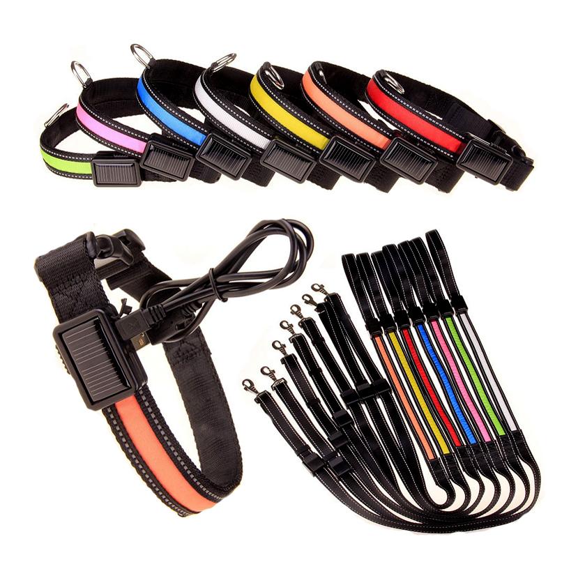 USB & Solar Rechargeable LED Dog Collar – Reflective, Waterproof, Night Safety