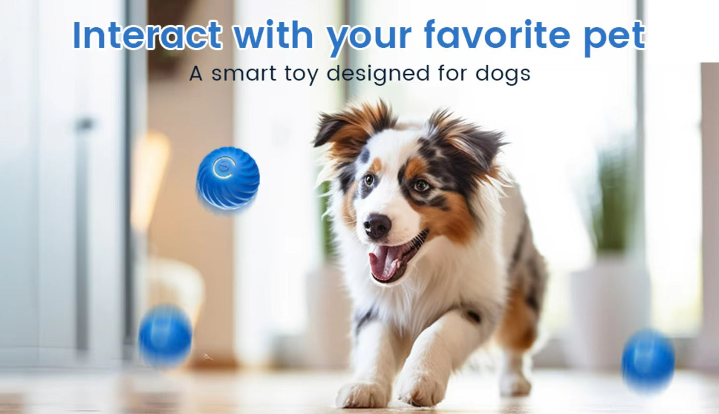 Mario’s Choice Interactive Cat Ball Toy – Battery-Powered Rolling Fun for Cats & Kittens