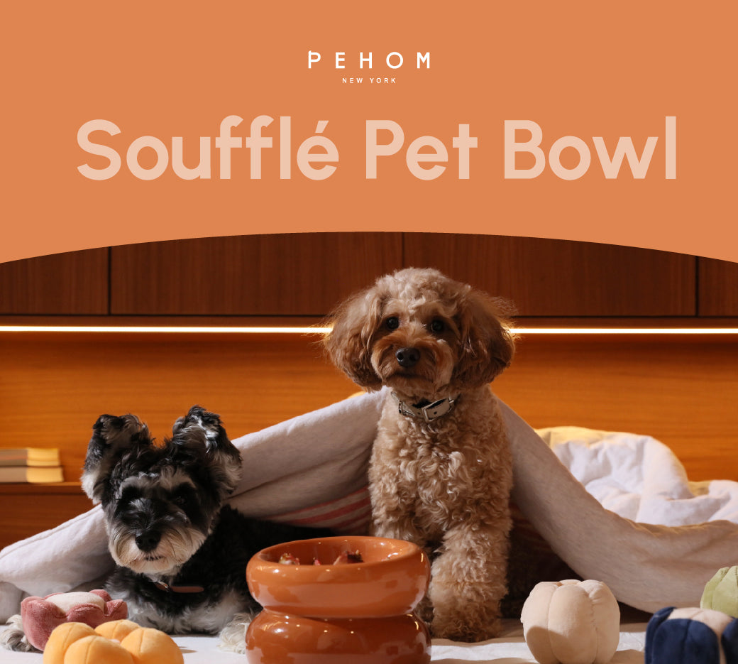 Comfort Pet Bowl – Multiple Colors