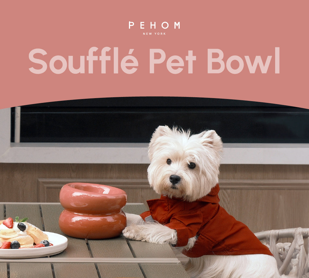 Ergonomic Pet Bowl – Multiple Colors (Anti-Slip, Easy-Clean)