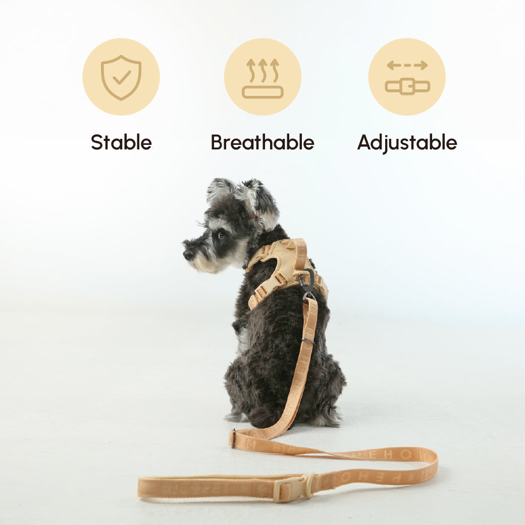 Padded Comfort Pet Leash – Multiple Colors (M/L Sizes)