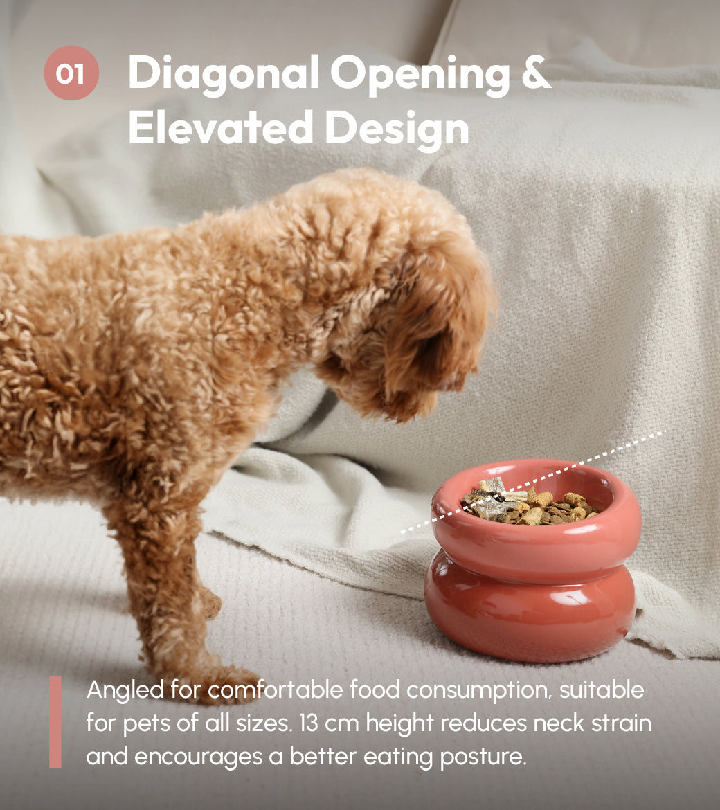 Ergonomic Pet Bowl – Multiple Colors (Anti-Slip, Easy-Clean)