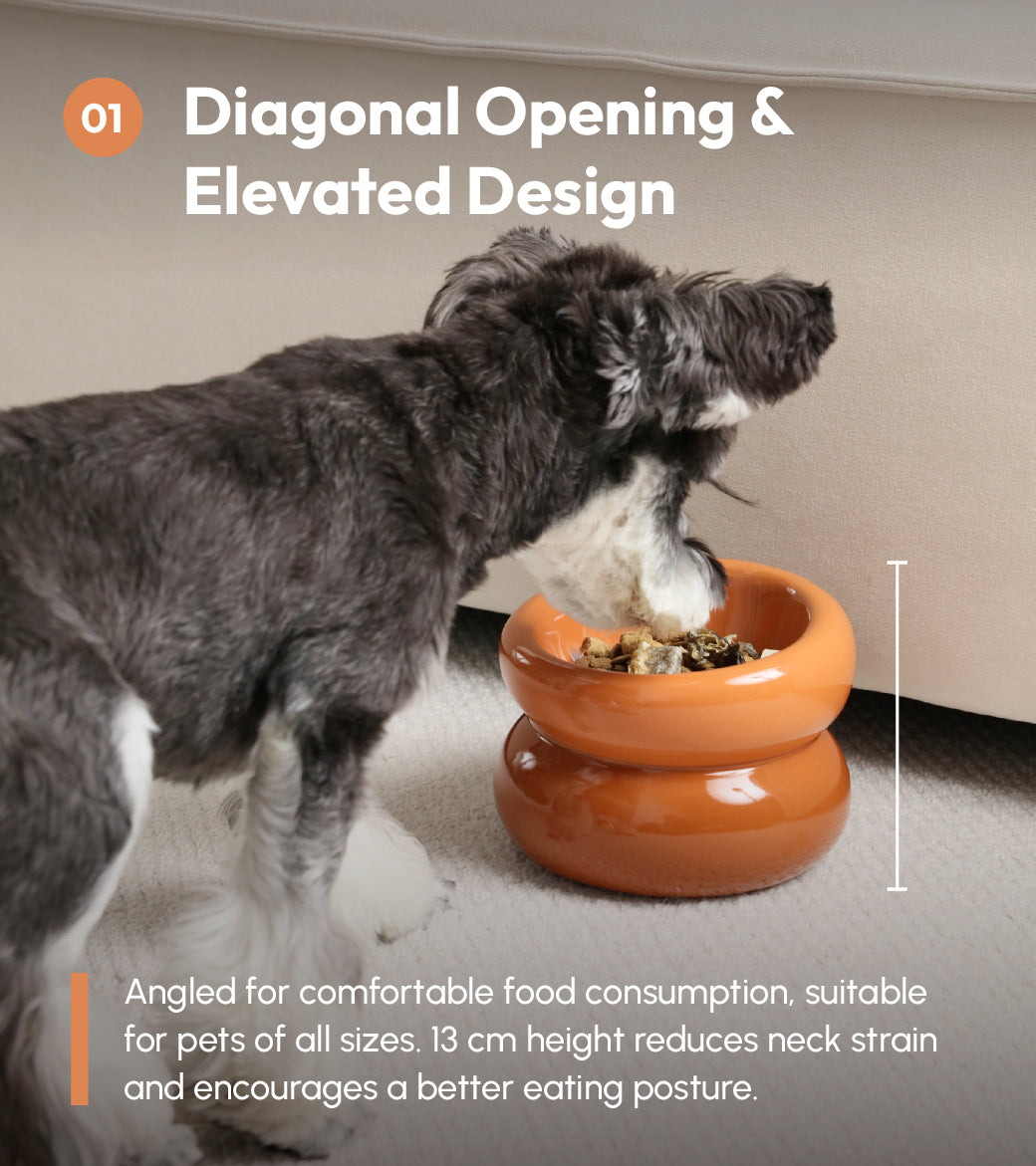 Comfort Pet Bowl – Multiple Colors