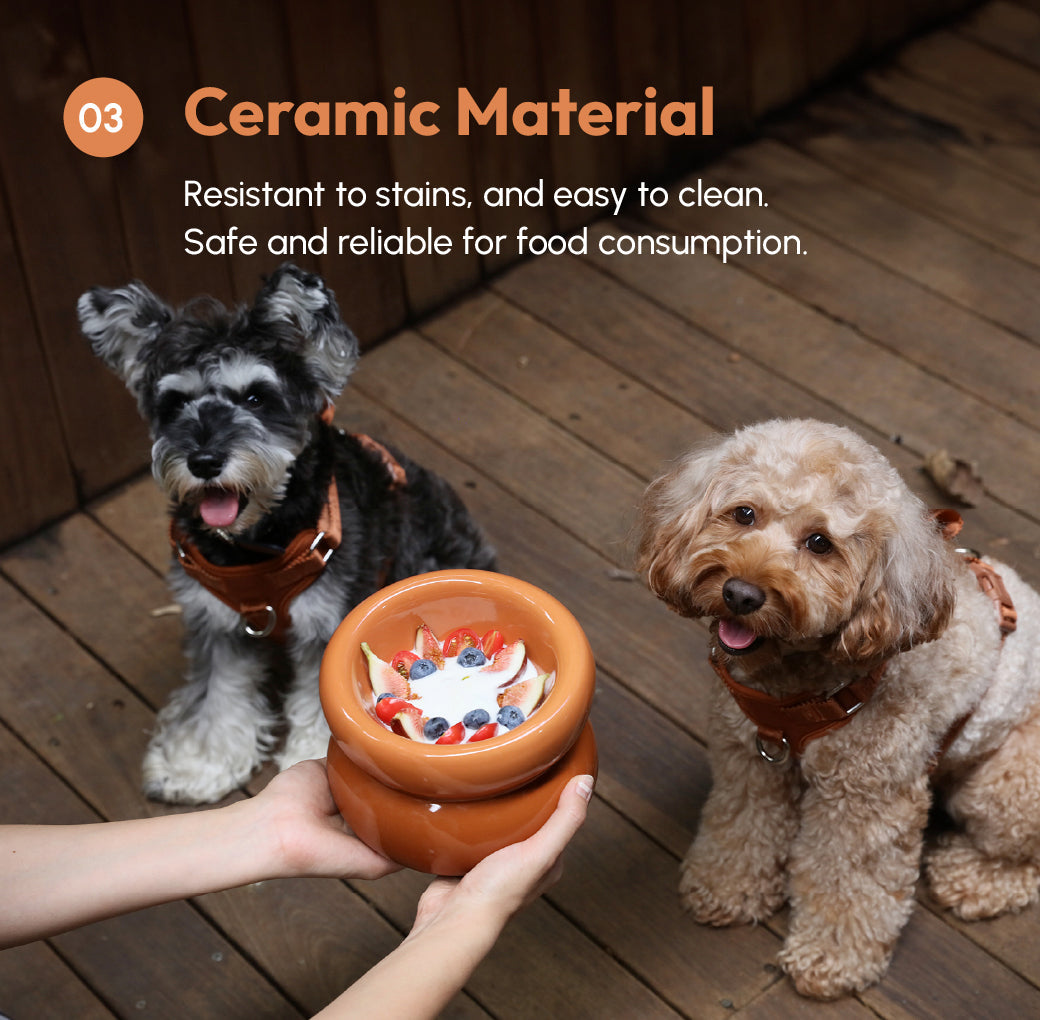 Comfort Pet Bowl – Multiple Colors