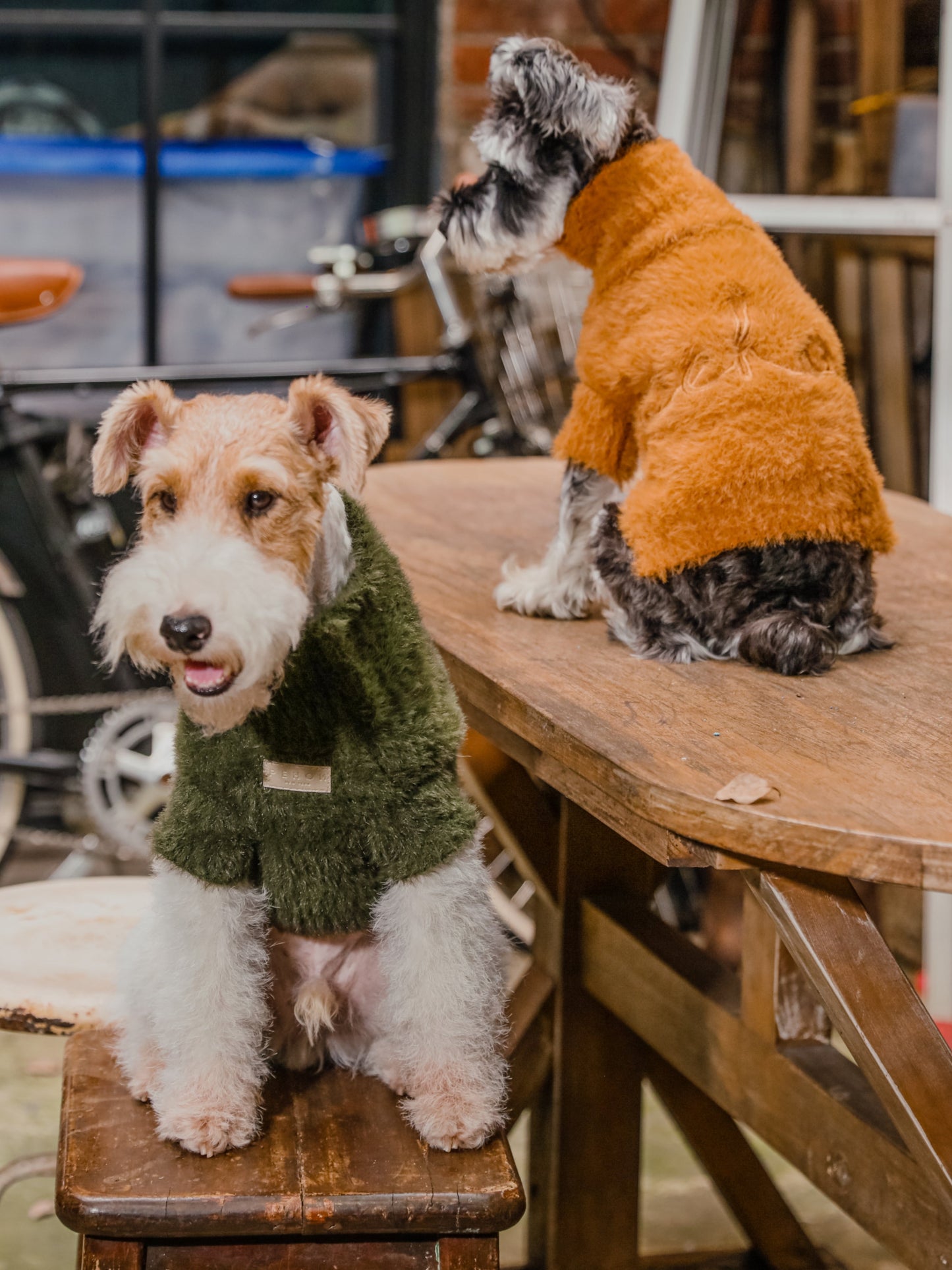 Mario’s Choice Cozy Dog Sweater – Green Fleece