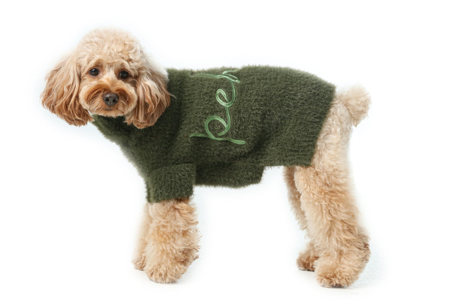 Mario’s Choice Cozy Dog Sweater – Green Fleece