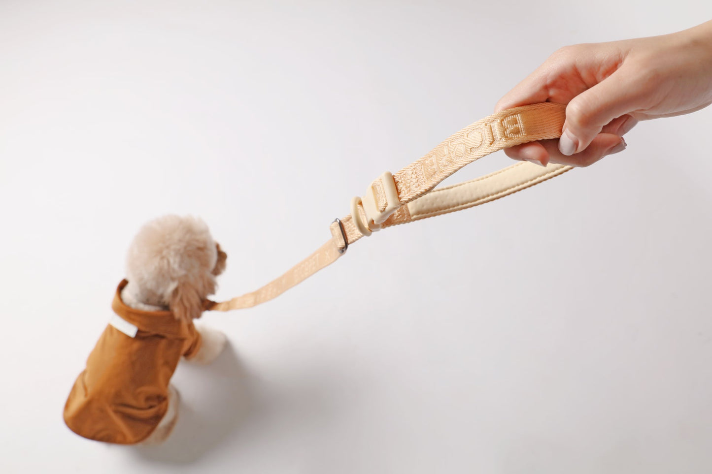 Padded Comfort Pet Leash – Multiple Colors (M/L Sizes)