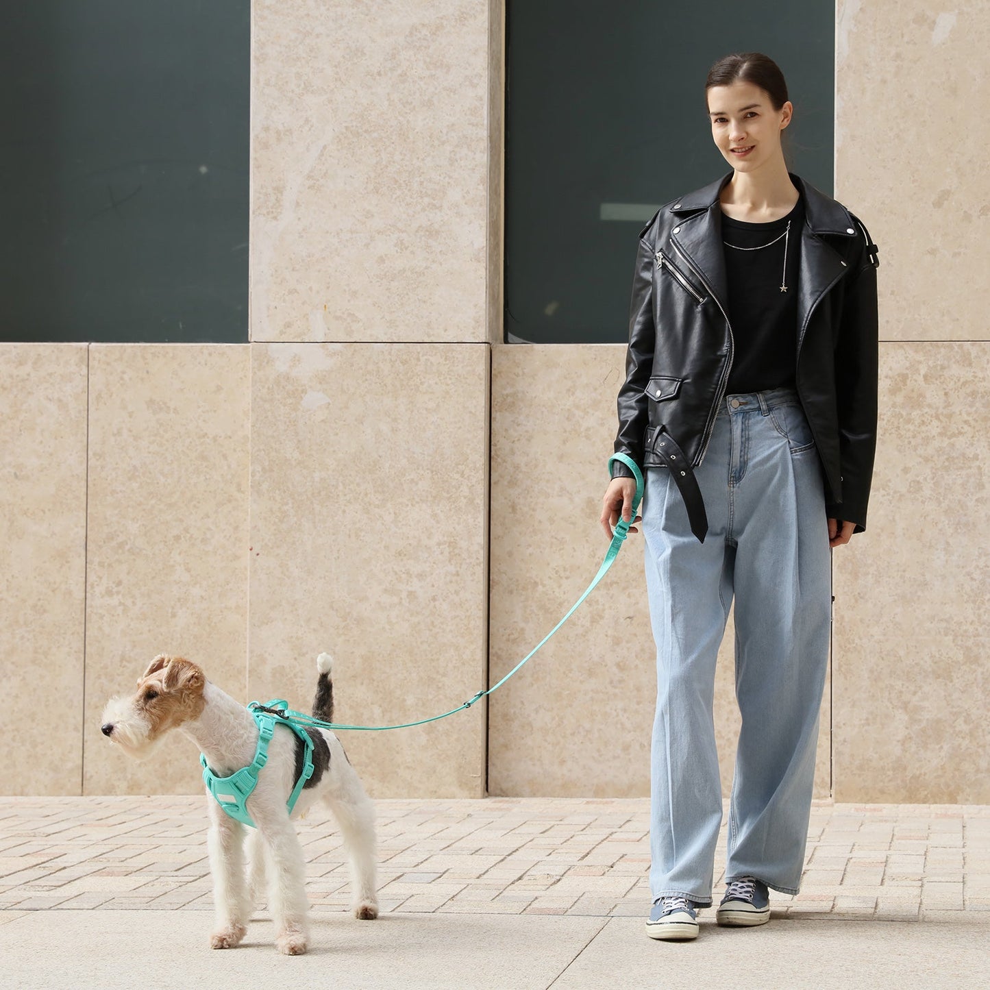 Padded Comfort Pet Leash – Multiple Colors (M/L Sizes)