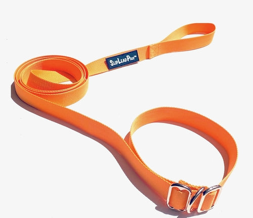 3-in-1 Adjustable Dog Collar, Harness & Leash