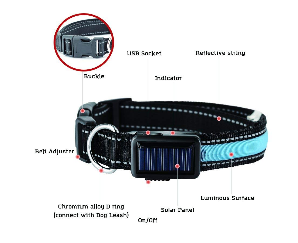 USB & Solar Rechargeable LED Dog Collar – Reflective, Waterproof, Night Safety