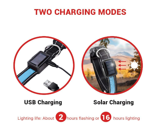 USB & Solar Rechargeable LED Dog Collar – Reflective, Waterproof, Night Safety