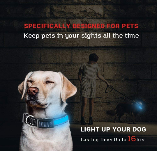 USB & Solar Rechargeable LED Dog Collar – Reflective, Waterproof, Night Safety