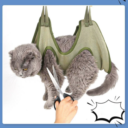 Cat in a green mesh hammock with a hand holding scissors on a white background