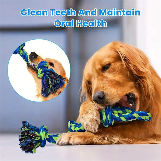 Dog chewing on a blue and green rope toy with text about dental health.