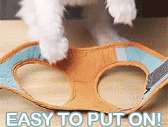 Adjustable Reflective Dog Harness – No-Pull Pet Vest with Leash Set