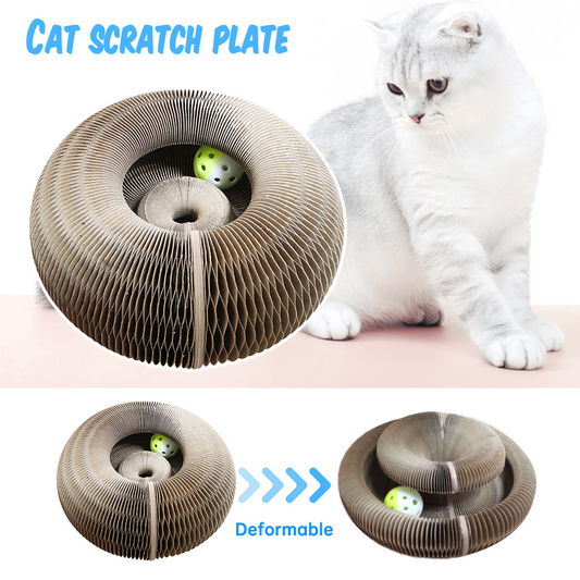 Magic Organ Cat Scratching Board & Interactive Toy