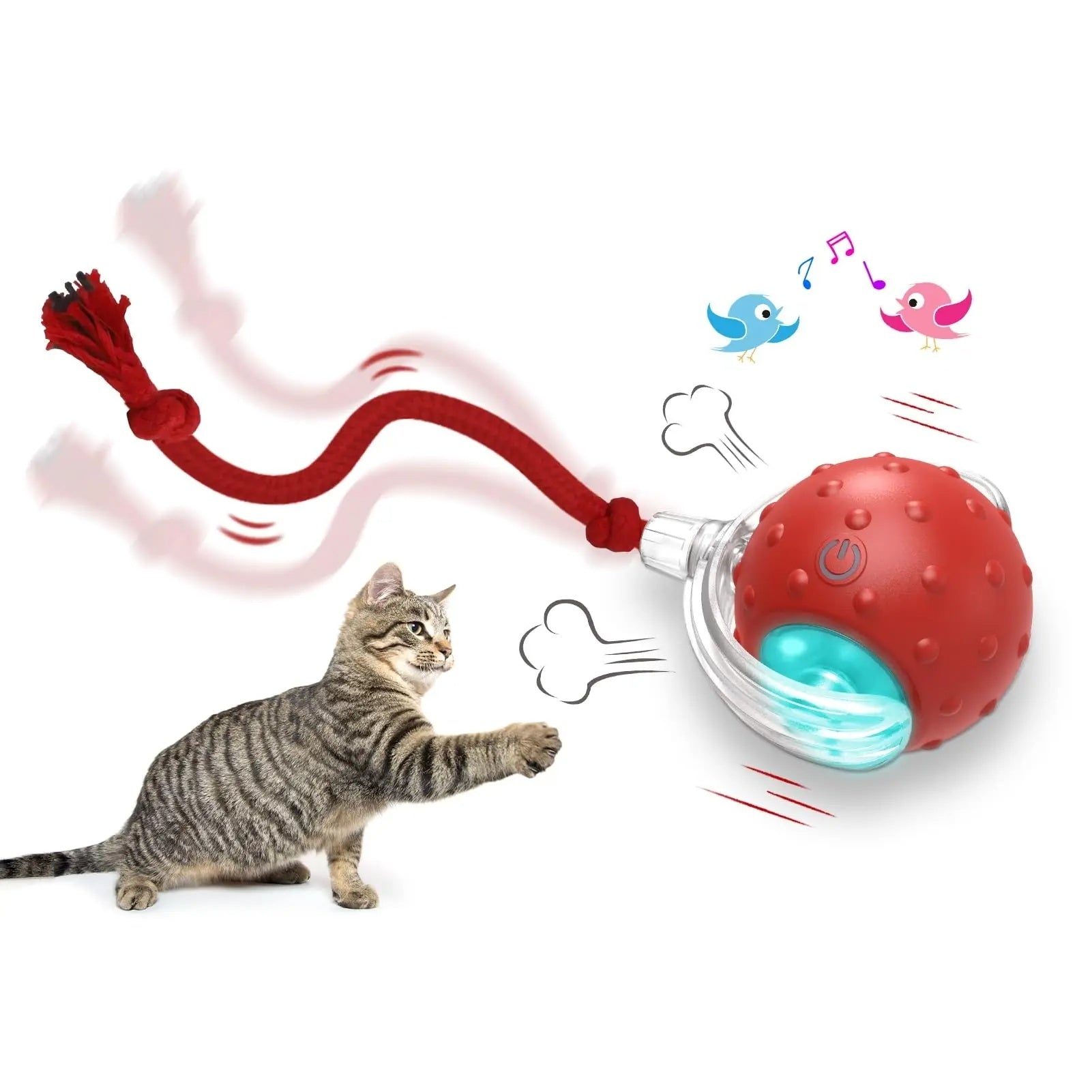 Cat toy with a red ball and red rope, featuring a cat interacting with it on a white background.