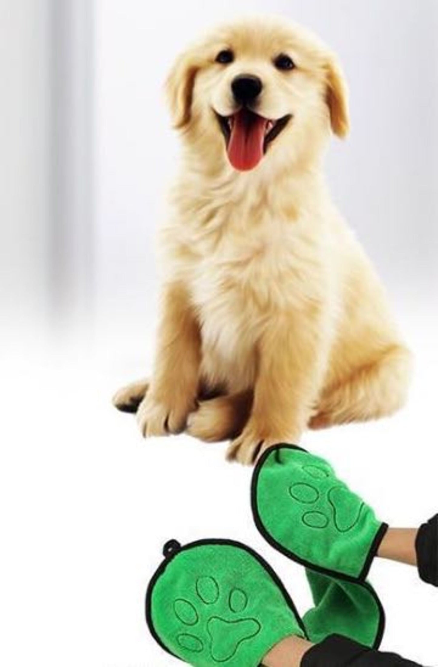 Dog wearing green paw pads with a blurred background