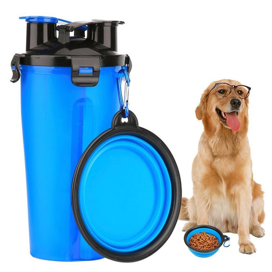 Dog with blue water bottle