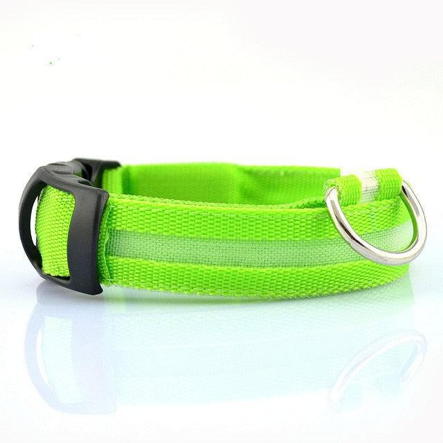 2 PCS Nylon LED Dog Collar – Safety Light-Up Collar for Night Walks (Multiple Sizes & Colors)