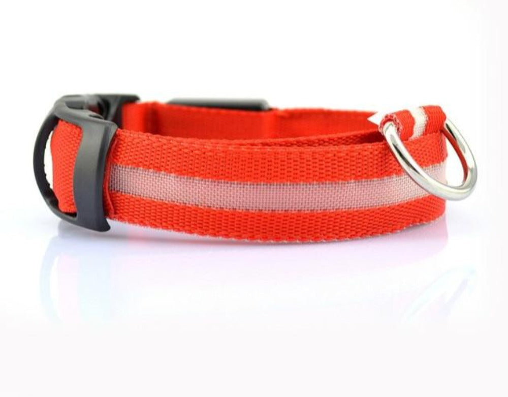 2 PCS Nylon LED Dog Collar – Safety Light-Up Collar for Night Walks (Multiple Sizes & Colors)