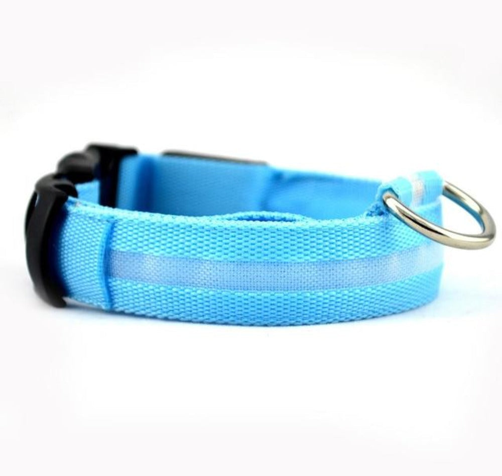 2 PCS Nylon LED Dog Collar – Safety Light-Up Collar for Night Walks (Multiple Sizes & Colors)