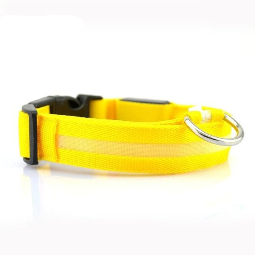 2 PCS Nylon LED Dog Collar – Safety Light-Up Collar for Night Walks (Multiple Sizes & Colors)