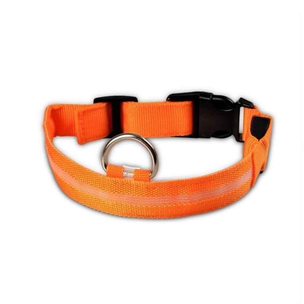 2 PCS Nylon LED Dog Collar – Safety Light-Up Collar for Night Walks (Multiple Sizes & Colors)