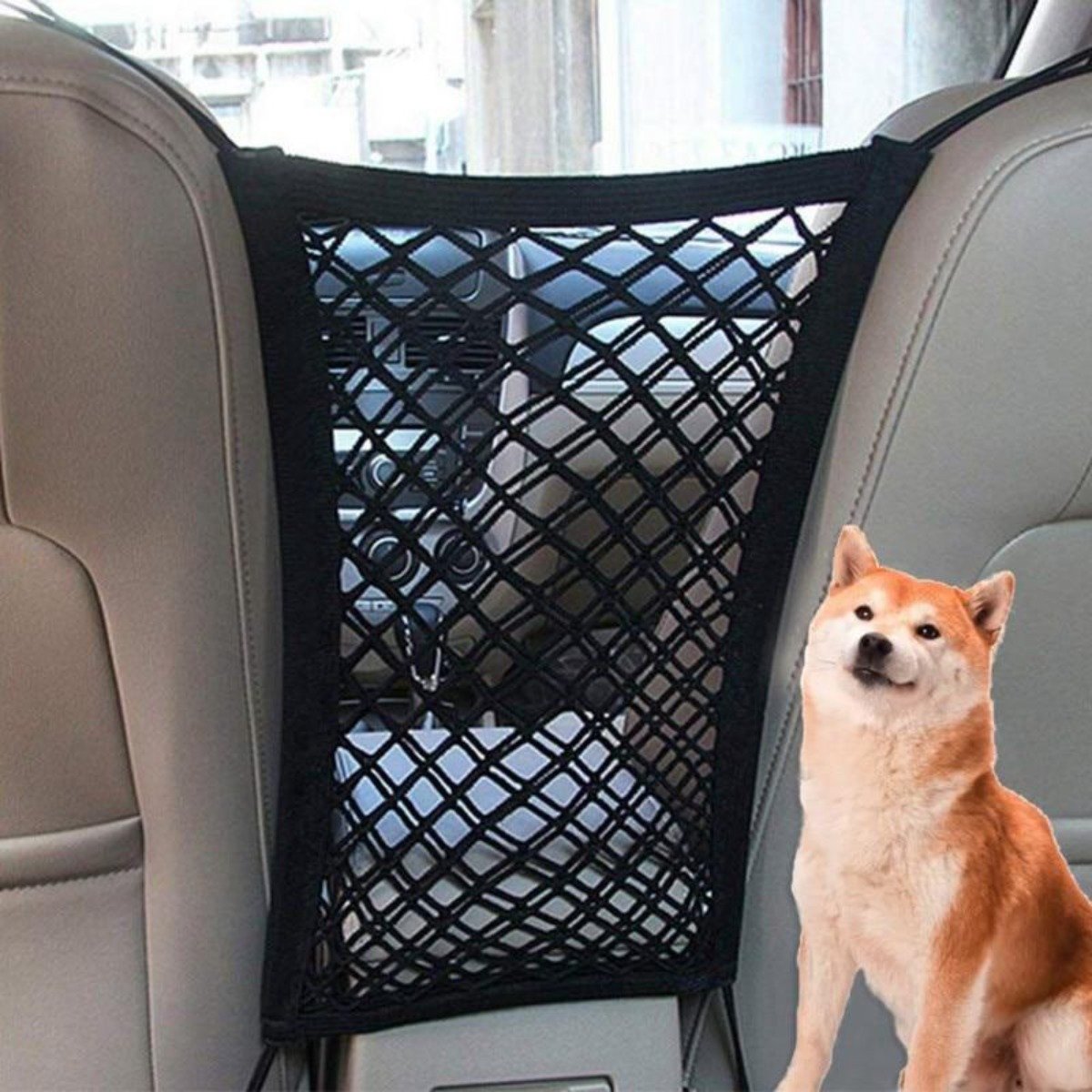 Dog sitting in backseat with pet car net barrier divider