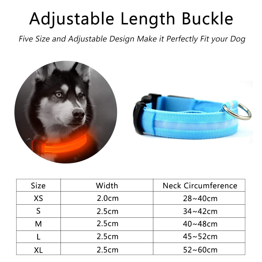 2 PCS Nylon LED Dog Collar – Safety Light-Up Collar for Night Walks (Multiple Sizes & Colors)
